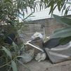 Los vecinos de Carabanchel denuncian el deterioro del Parque Emperatriz María de Austria: "Hay cucarachas"