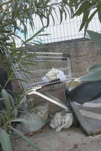 Los vecinos de Carabanchel denuncian el deterioro del Parque Emperatriz María de Austria: "Hay cucarachas"