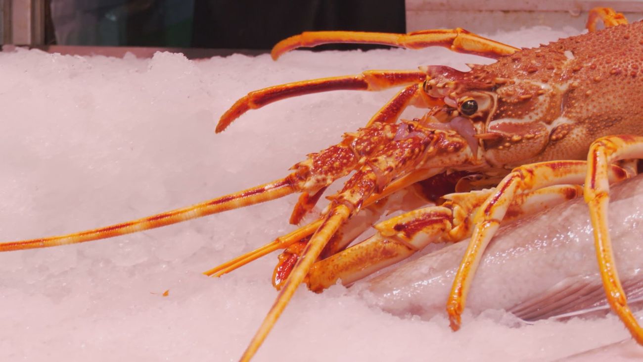 Bogavante y langosta: parecidos por fuera, diferentes en la mesa