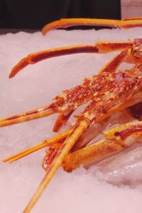 Bogavante y langosta: parecidos por fuera, diferentes en la mesa