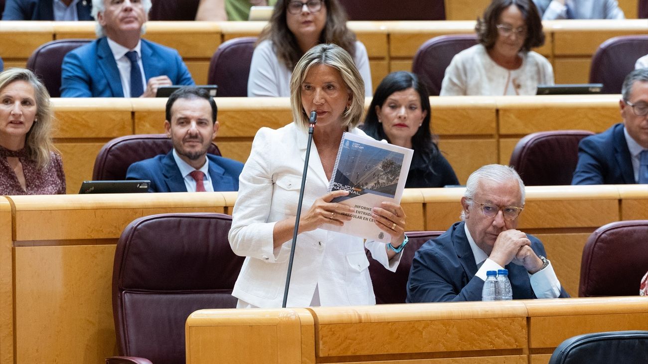 La portavoz del PP en el Senado, Alicia García