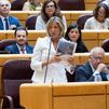 La portavoz del PP en el Senado, Alicia García