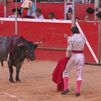 Montero y un bravo astado de José Escolar destacan en Riaza