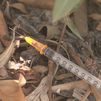 Jeringuillas, heces y amenazas: el infierno de los vecinos por culpa de un narcopiso en San Blas