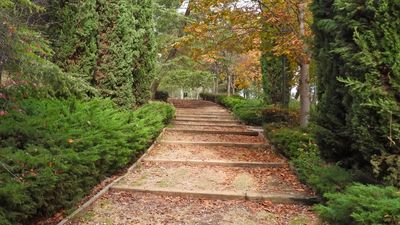 Madrid cambia el nombre del parque de Caramuel para rendir homenaje al papa Francisco