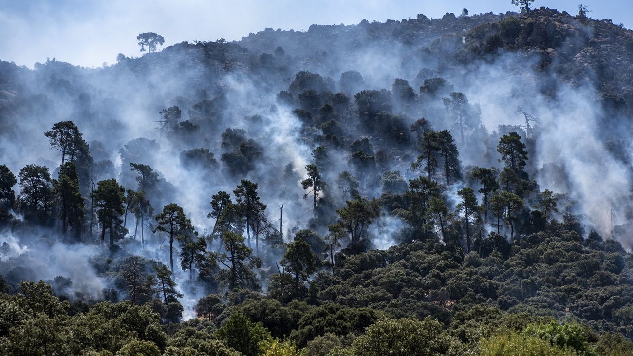 Árboles ardiendo, a 25 de julio de 2026, en Robledo de Chavela, en los incendios de la Sierra Oeste de Madrid