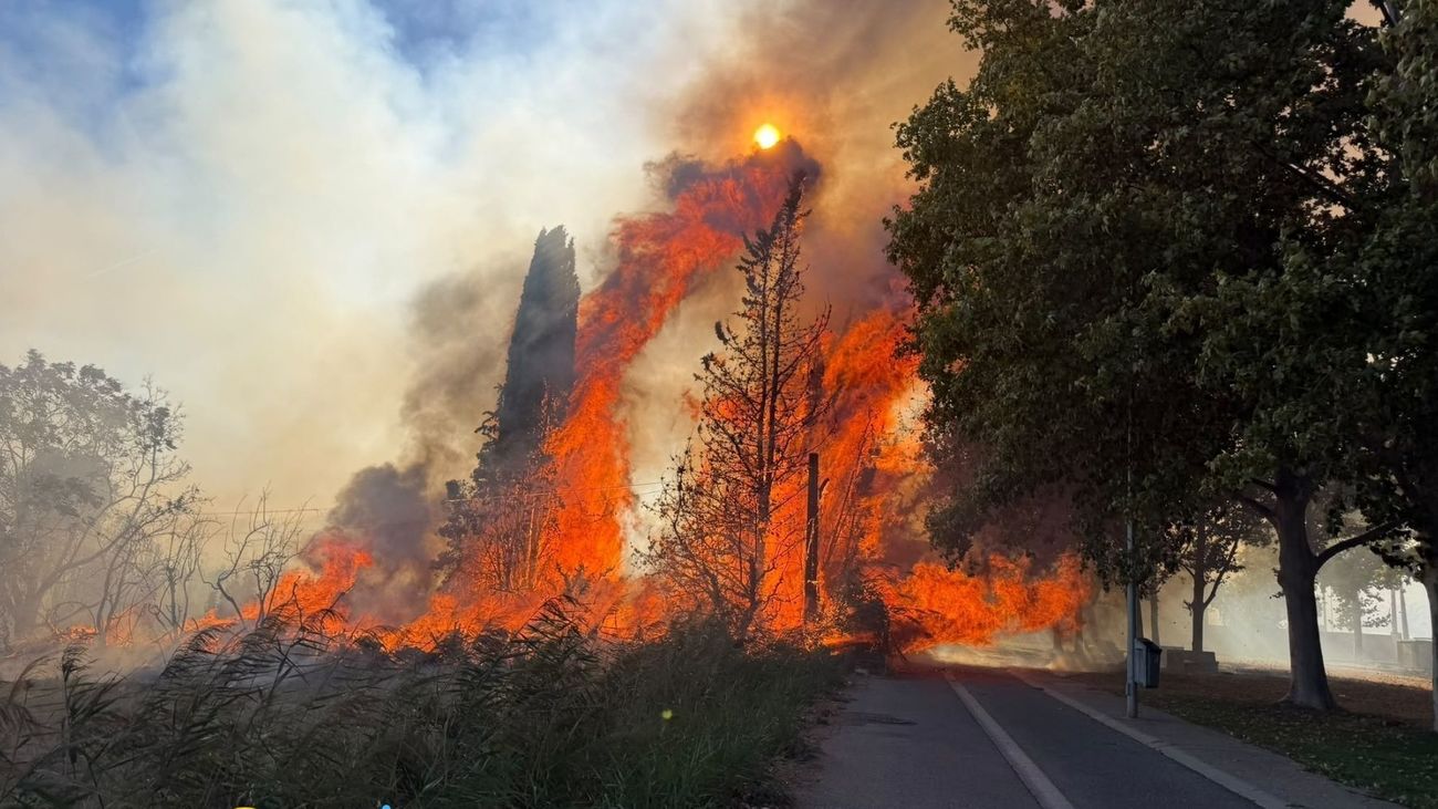 Los incendios forestales han quemado casi 300.000 hectáreas en España en lo que va de año