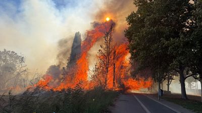 Los incendios forestales han quemado casi 300.000 hectáreas en España en lo que va de año