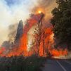 Los incendios forestales han quemado casi 300.000 hectáreas en España en lo que va de año