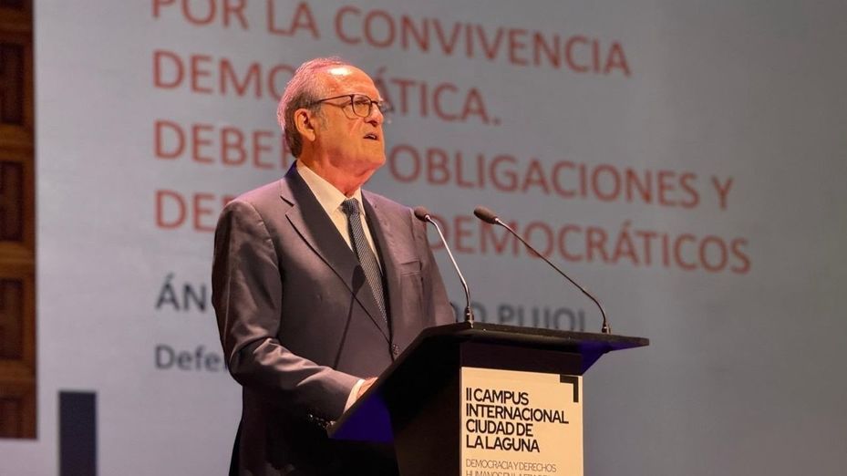 El Defensor del Pueblo recurre al Constitucional la suspensión del voto a los nacionalizados por la 'ley de nietos'