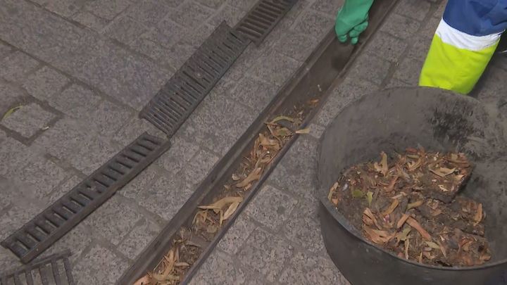 Así se preparan los municipios de Madrid ante la previsión de un otoño más lluvioso de lo normal