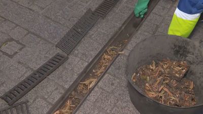 Así se preparan los municipios de Madrid ante la previsión de un otoño más lluvioso de lo normal