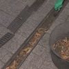 Así se preparan los municipios de Madrid ante la previsión de un otoño más lluvioso de lo normal