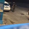 Detenidos cinco miembros de Dominican Don't Play por agresiones a jóvenes en Ciudad Lineal