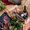 Esta semana, El Molar brinda por sus vinos como cuarta subzona de la DO Vinos de Madrid