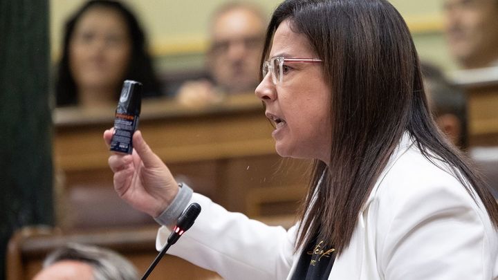 El Congreso no podrá sancionar a la diputada que llevó gas pimienta a la Cámara