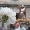 Guadarrama celebra por todo lo alto el día grande de San Miguel Arcángel