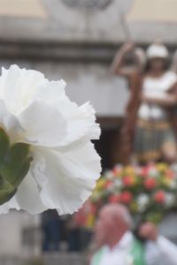 Guadarrama celebra por todo lo alto el día grande de San Miguel Arcángel