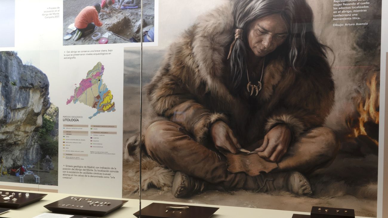 Exposición sobre el yacimiento de El Vellón en el Museo Arqueológico y Paleontológico de la Comunidad
