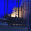Prenden fuego a un vehículo aparcado en las inmediaciones del tanatorio de San Isidro, en Carabanchel
