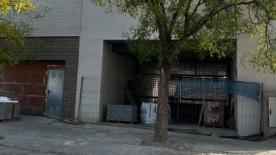 Denuncian que un árbol paraliza la entrega de viviendas a 32 familias de Butarque, en Villaverde