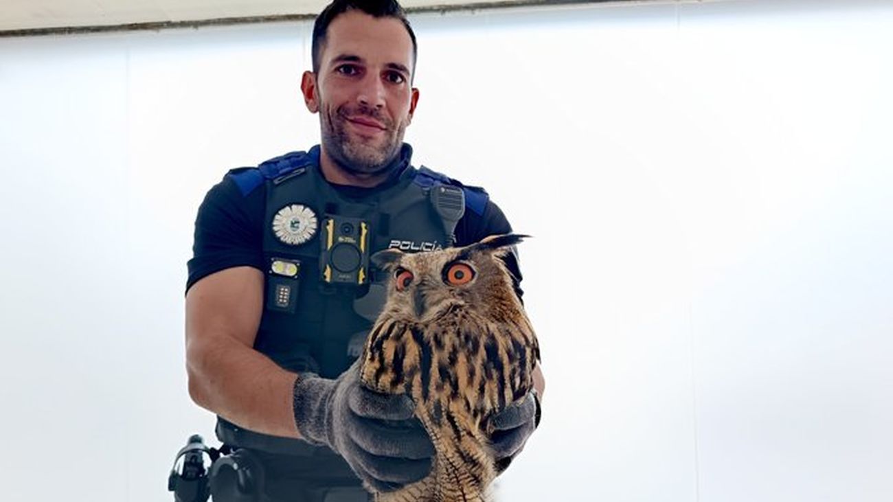 Policía local de San Fernando de Henares con el búho real rescatado