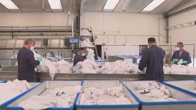 Un centenar de personas con discapacidad consiguen  trabajo gracias a un centro de empleo de Ciempozuelos