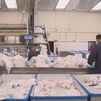 Un centenar de personas con discapacidad consiguen  trabajo gracias a un centro de empleo de Ciempozuelos
