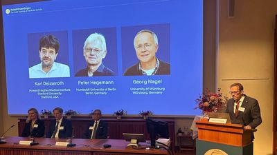 El Nobel de Medicina premia las investigaciones sobre cómo las células nerviosas dan forma a los recuerdos