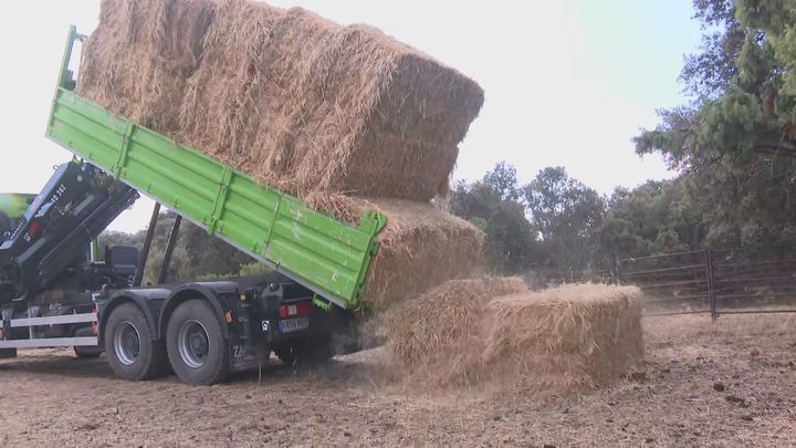 La Comunidad aporta forrajes a las ganaderías afectadas por los incendios de la Sierra Oeste