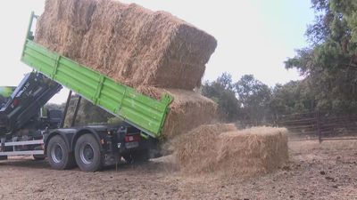 La Comunidad aporta forrajes a las ganaderías afectadas por los incendios de la Sierra Oeste