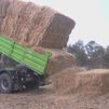 La Comunidad aporta forrajes a las ganaderías afectadas por los incendios de la Sierra Oeste