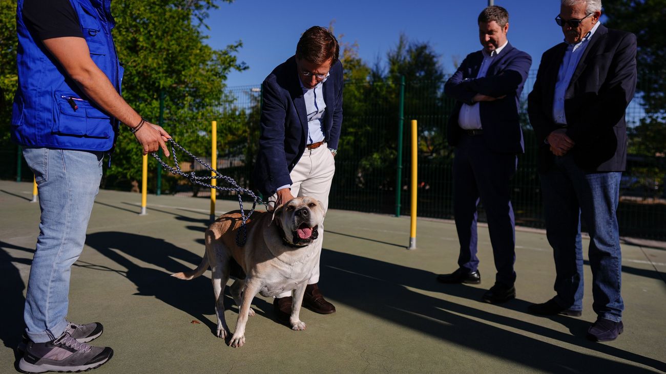 Más de 70.000 animales han pasado por el Centro de Protección Animal de Madrid en sus 20 años de vida