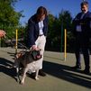 Más de 70.000 animales han pasado por el Centro de Protección Animal de Madrid en sus 20 años de vida