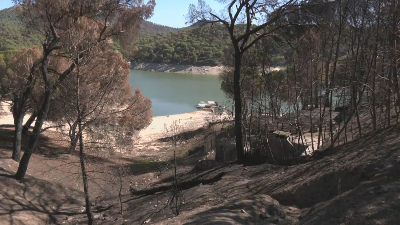 Las cicatrices de la playa de la Virgen de la Nueva tres meses después del incendio