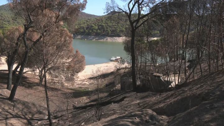 Las cicatrices de la playa de la Virgen de la Nueva tres meses después del incendio
