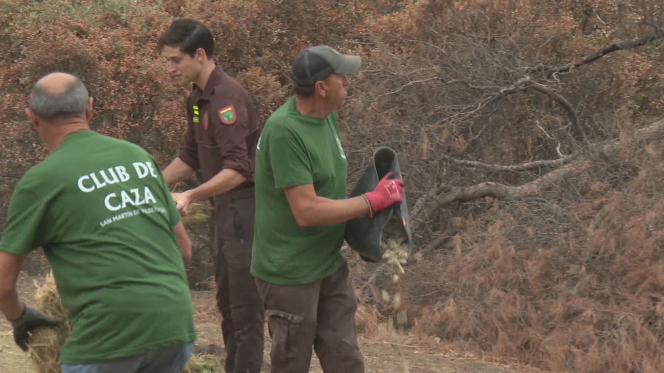Madrid reparte miles de kilos de comida entre la fauna silvestre afectada en los incendios de Sierra Oeste