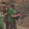 Madrid reparte miles de kilos de comida entre la fauna silvestre afectada en los incendios de Sierra Oeste
