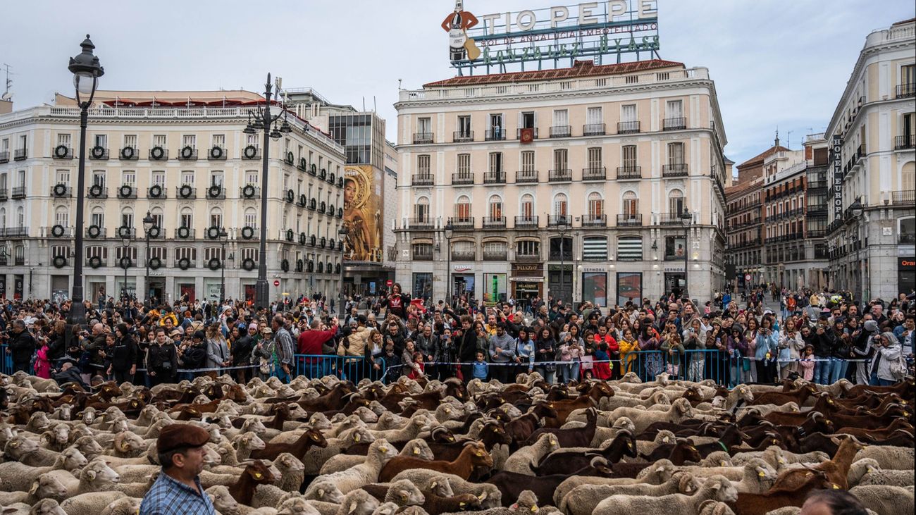 Madrid agotará la vía judicial para desalojar la acampada de Sol, que amenaza la Trashumancia y la Navidad