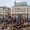 Madrid agotará la vía judicial para desalojar la acampada de Sol, que amenaza la Trashumancia y la Navidad