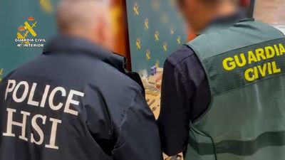 Detenido en Madrid un hombre por traficar con armas cuyos componentes compraba en internet
