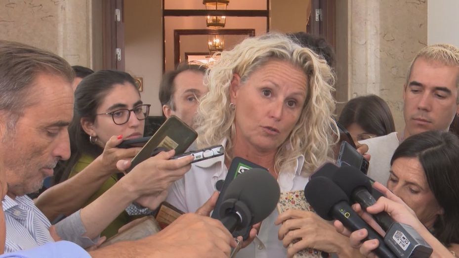 La portavoz del PSOE Montse Mínguez dimite en plena polémica por los pisos de su pareja