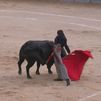 David Galván y Emiliano Osornio cortan dos orejas en el festival de Chinchón