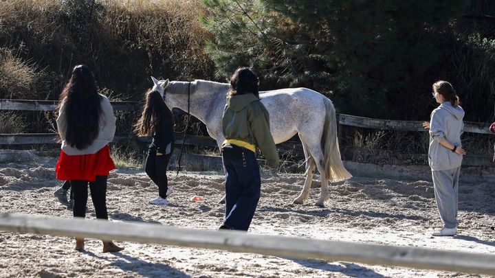 'Recuperar las riendas', caballos para ayudar a mujeres víctimas de violencia de género en Madrid