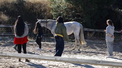 'Recuperar las riendas', caballos para ayudar a mujeres víctimas de violencia de género en Madrid