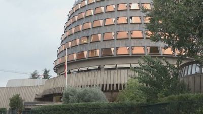 El Pleno del Constitucional debate sobre la suspensión de la 'ley de nietos'