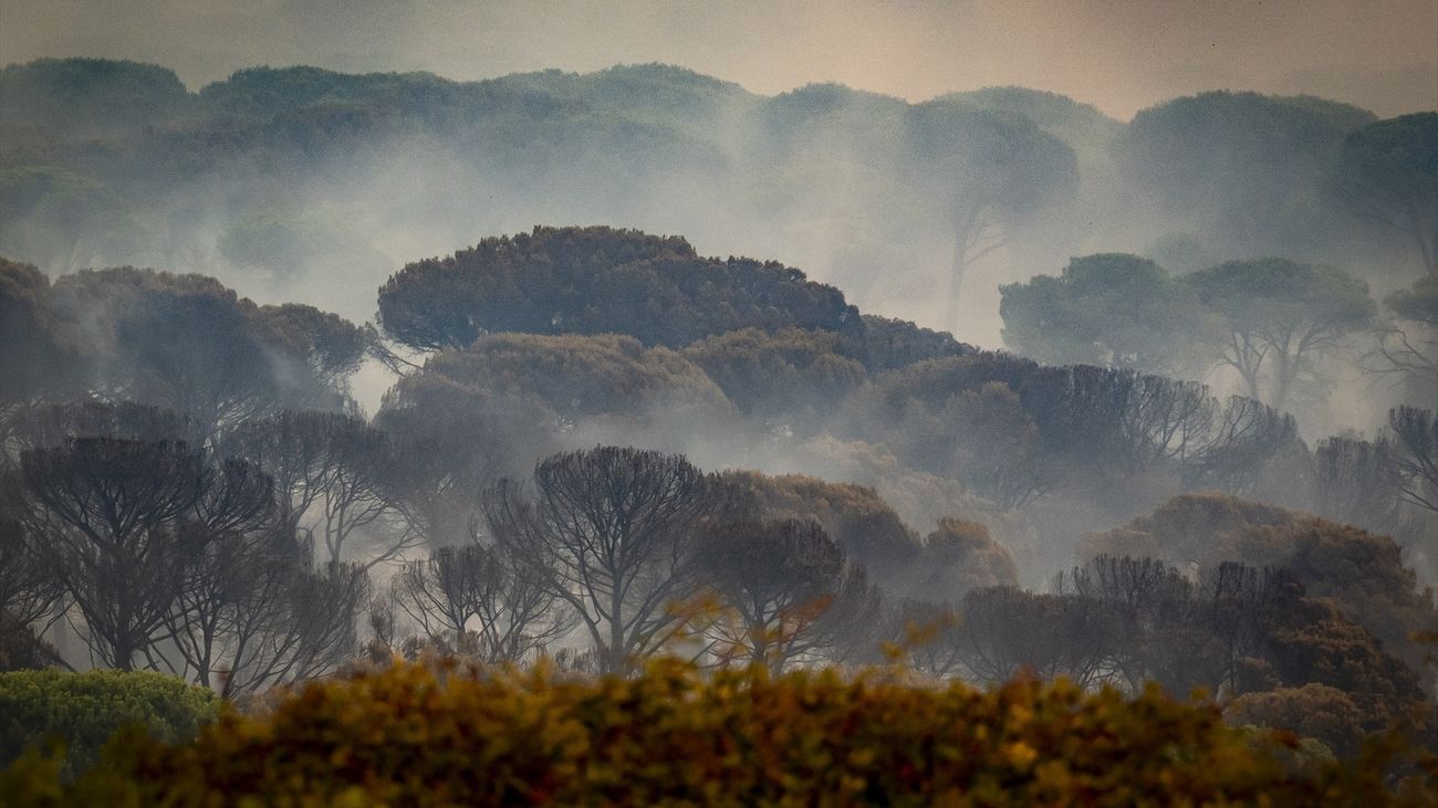 Vista del incendio forestal, a 25 de julio de 2026, en San Martín de Valdeiglesias