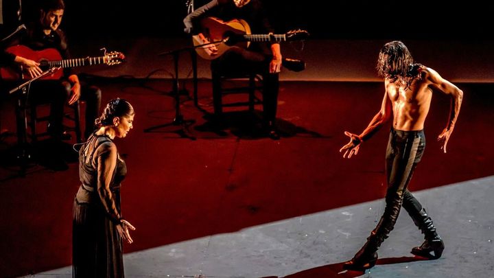 Eduardo Guerrero, una de las figuras más poderosas e innovadoras del flamenco actual